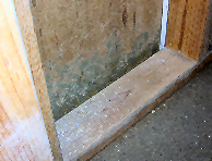 Mold