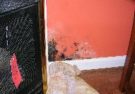 Mold