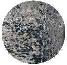 Mold 